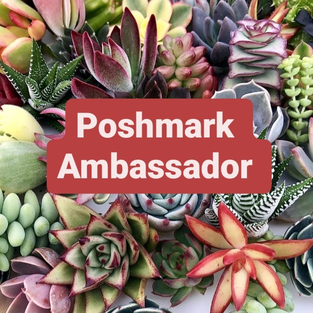 Posh Ambassador